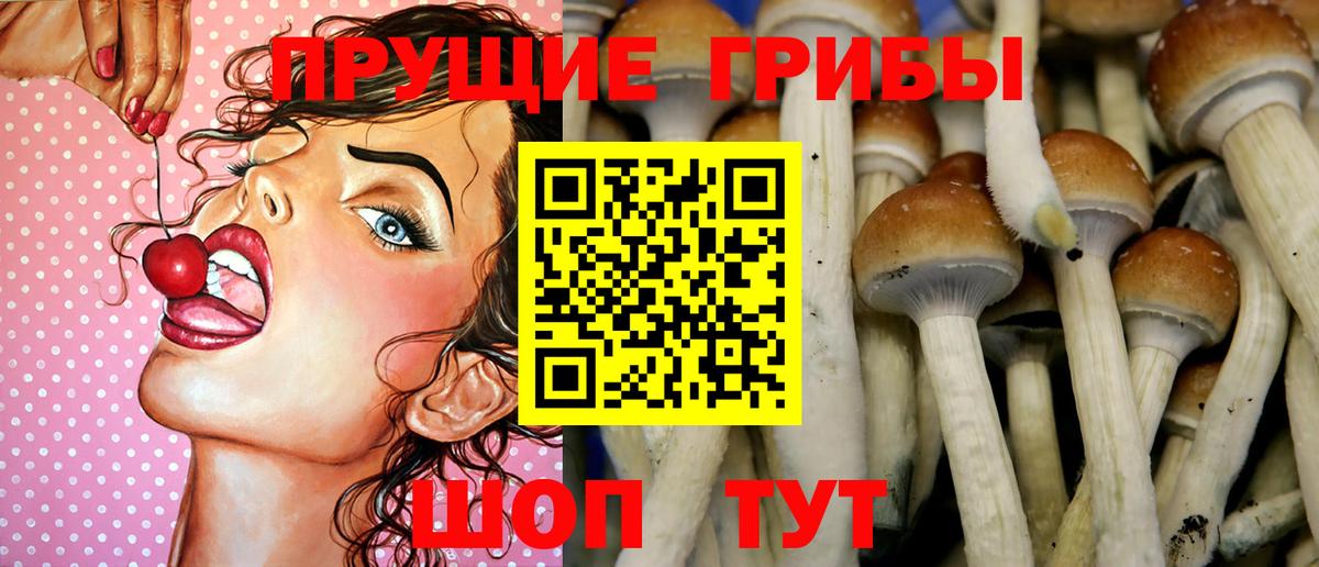 Псилоцибиновые грибы Psilocybine cubensis  Вход с VPN  Сегежа 