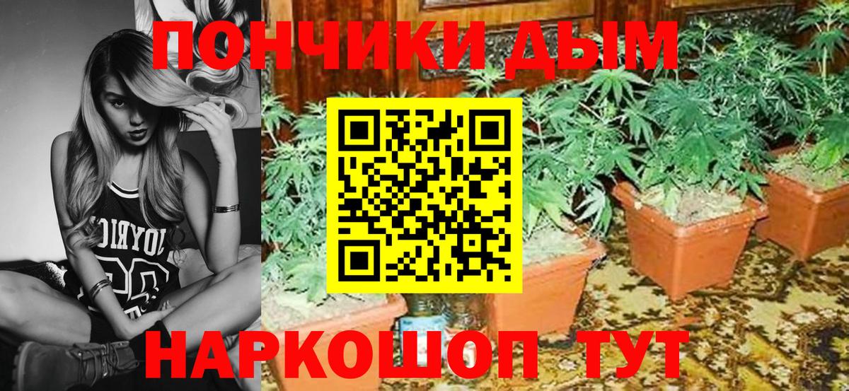 Марихуана OG Kush  Бошки Шишки сатива  Марихуана ГИДРОПОН  Вход с VPN  Сегежа 
